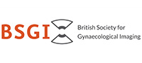 BSGI logo