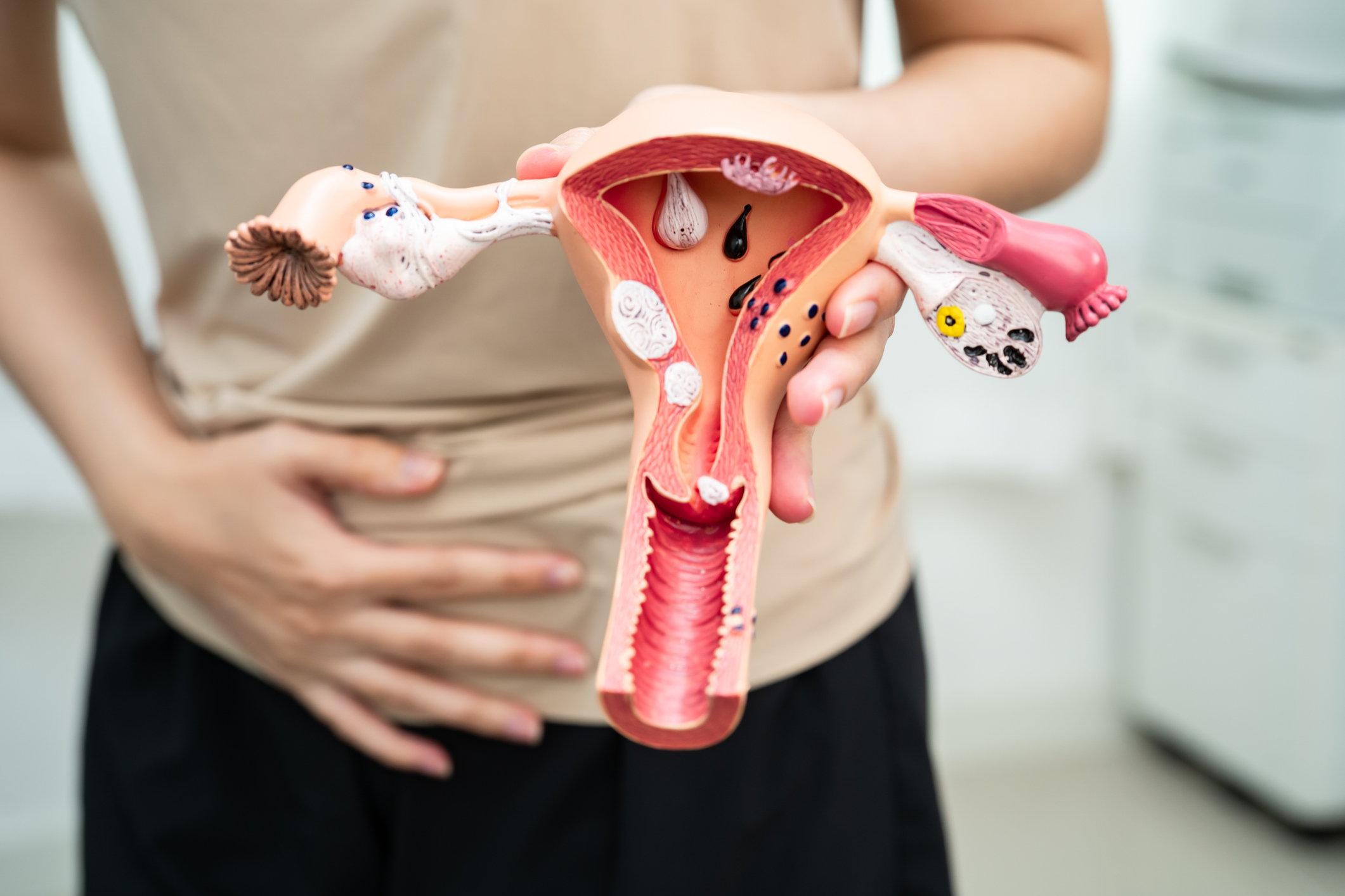 Uterus, Asian, woman holding human anatomy model.